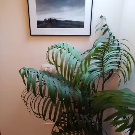 阿西西赫利俄斯住宿加早餐旅馆 4*